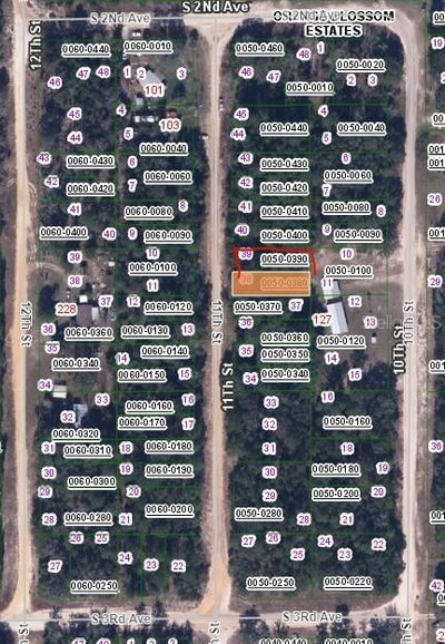 11TH Street, Interlachen, FL, 32148 — photo 2