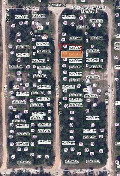 11TH Street, Interlachen, FL, 32148 — photo 2