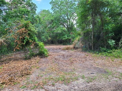 95TH Street, Ocklawaha, FL, 32179 — photo 2
