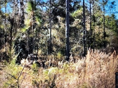 148TH Terrace, Williston, FL, 32696 — photo 2