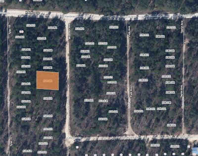 207 MISSOURI Avenue, Hawthorne, FL, 32640 — photo 2