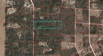 4331 127TH Court, Williston, FL, 32696 — photo 2