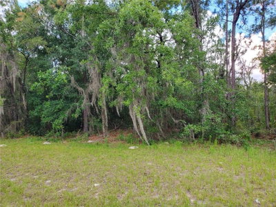 8650 138 Lane, Ocala, FL, 34473 — photo 2