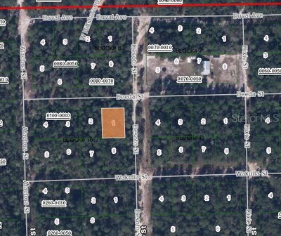105 DEEDA Street, Florahome, FL, 32140 — photo 2