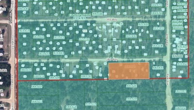 105 2ND Way, Interlachen, FL, 32148 — photo 2