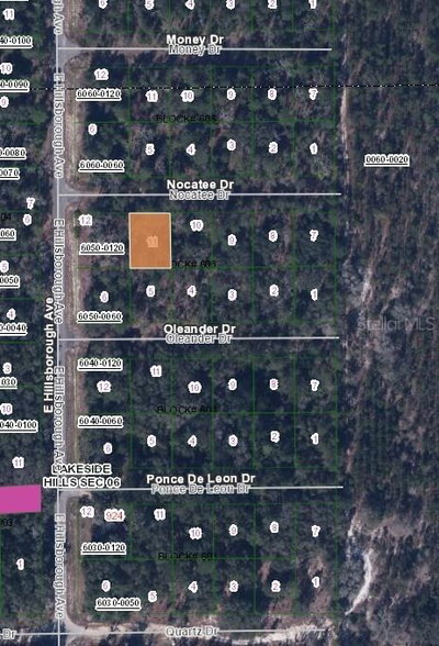 103 NOCATEE Drive, Florahome, FL, 32140 — photo 2