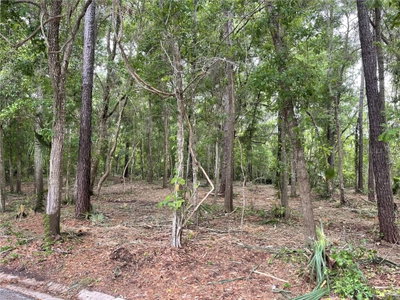 43RD Street, Ocala, FL, 34480 — photo 2