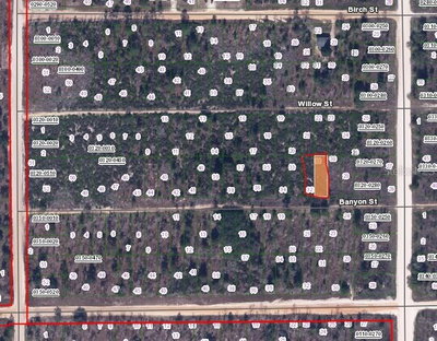 BANVON Street, Interlachen, FL, 32148 — photo 2