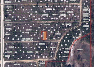 BANVON Street, Interlachen, FL, 32148 — photo 2