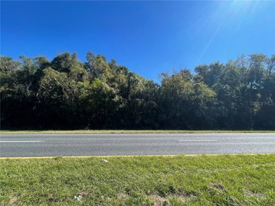 TBD US HWY 301, Citra, FL, 32113 — photo 2