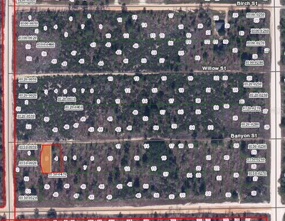 BANVON, Interlachen, FL, 32148 — photo 2