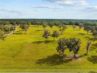 TBD 316 Highway, Reddick, FL, 32686 — photo 2