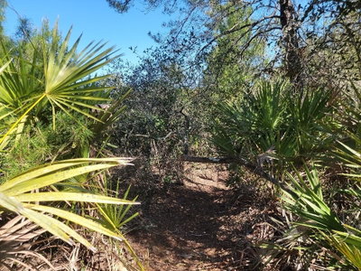 Astor, FL, 32102 — photo 2