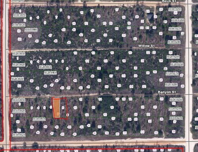 BANVON Street, Interlachen, FL, 32148 — photo 2