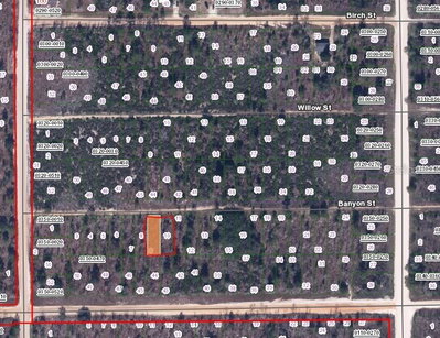 BANVON Street, Interlachen, FL, 32148 — photo 2