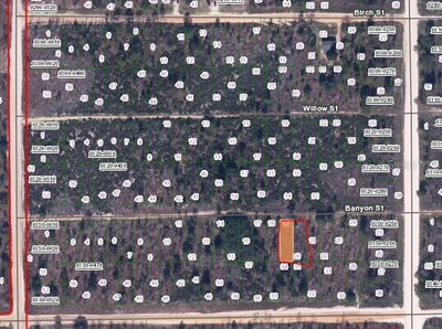 BANVON, Interlachen, FL, 32148 — photo 2