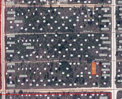 BANVON Street, Interlachen, FL, 32148 — photo 2
