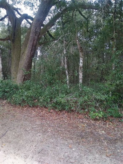 00 147TH COURT, Silver Springs, FL, 34488 — photo 2