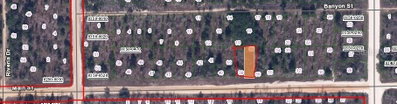 MAIN Street, Interlachen, FL, 32148 — photo 2