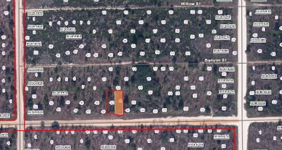 MAIN Street, Interlachen, FL, 32148 — photo 2