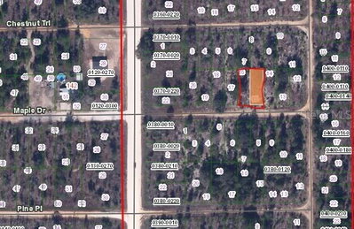 MAPLE Drive, Interlachen, FL, 32148 — photo 2
