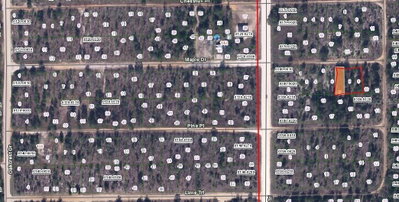 MAPLE Drive, Interlachen, FL, 32148 — photo 2
