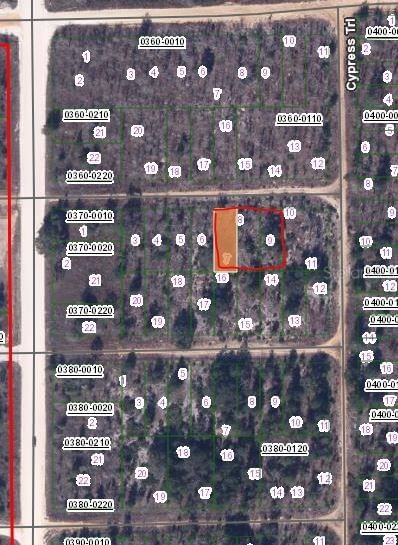 CHESTNUT Trail, Interlachen, FL, 32148 — photo 2