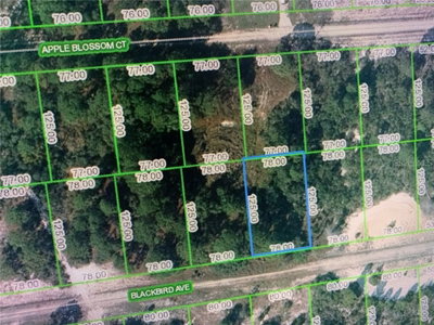 452 BLACKBIRD Avenue, Lake Placid, FL, 33852 — photo 2