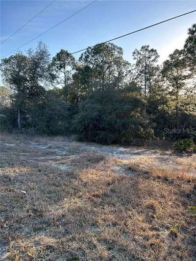 SOUTH WIND Court, Dunnellon, FL, 34431 — photo 2