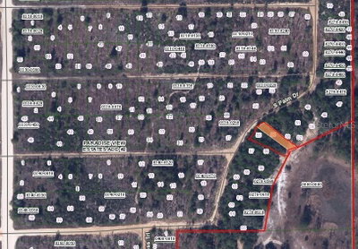 CYPRESS Trail, Interlachen, FL, 32148 — photo 2