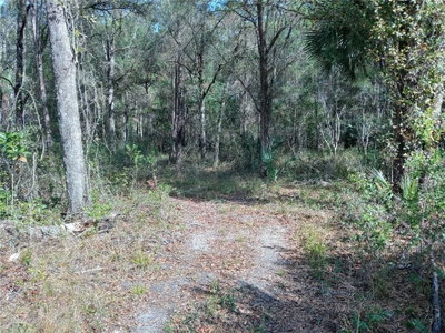 00 HWY 316, Fort Mc Coy, FL, 32134 — photo 2
