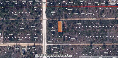 00 CHERRY Street, Interlachen, FL, 32148 — photo 2