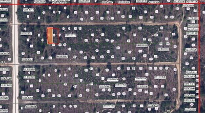 00 CHERRY Street, Interlachen, FL, 32148 — photo 2
