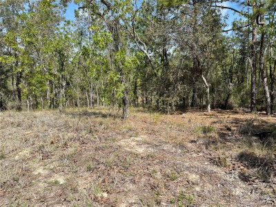 Lot 6 2 Street, Williston, FL, 32696 — photo 2