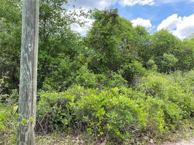 000 306TH Court, Fort Mc Coy, FL, 32134 — photo 2