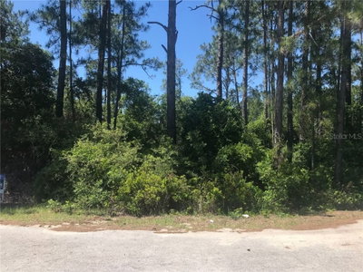 TBD FISHER Pass, Ocklawaha, FL, 32179 — photo 2