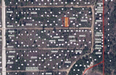 BIRCH Street, Interlachen, FL, 32148 — photo 2