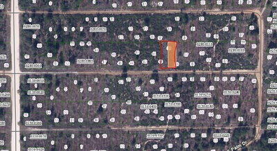 00 BIRCH Street, Interlachen, FL, 32148 — photo 2