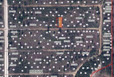 00 BIRCH Street, Interlachen, FL, 32148 — photo 2