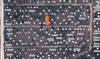 224 BIRCH Street, Interlachen, FL, 32148 — photo 2
