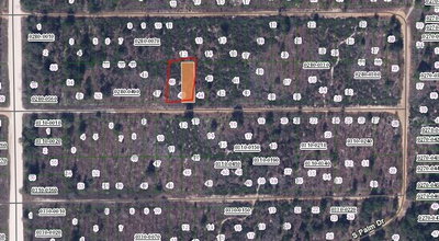 BIRCH Street, Interlachen, FL, 32148 — photo 2