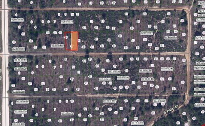 216 BIRCH Street, Interlachen, FL, 32148 — photo 2