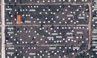 BIRCH Street, Interlachen, FL, 32148 — photo 2