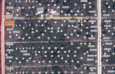 00 BIRCH Street, Interlachen, FL, 32148 — photo 2