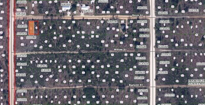 00 BIRCH Street, Interlachen, FL, 32148 — photo 2