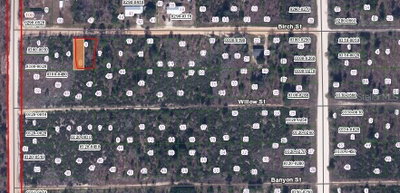 BIRCH Street, Interlachen, FL, 32148 — photo 2