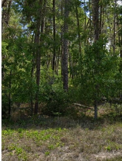 109 GRANADA Drive, Florahome, FL, 32140 — photo 2