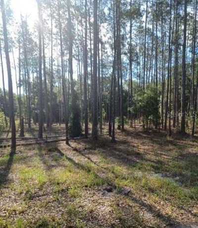 TBD CORNER SW95 AVESW 158 LN, Dunnellon, FL, 34432 — photo 2