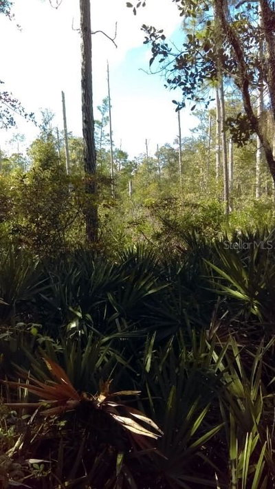 134 Place, Citra, FL, 32113 — photo 2