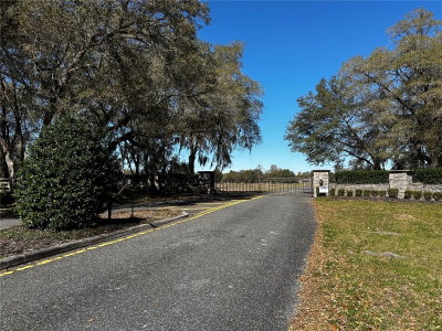 0000 464B, Morriston, FL, 32668 — photo 2